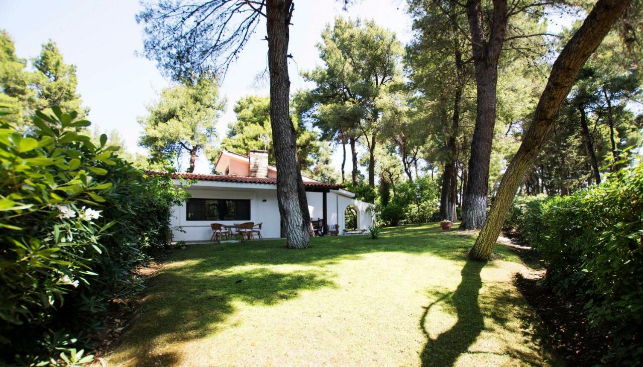 Villa Irini In Sani Sani  Exterior photo